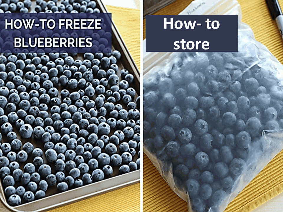How to store, freeze