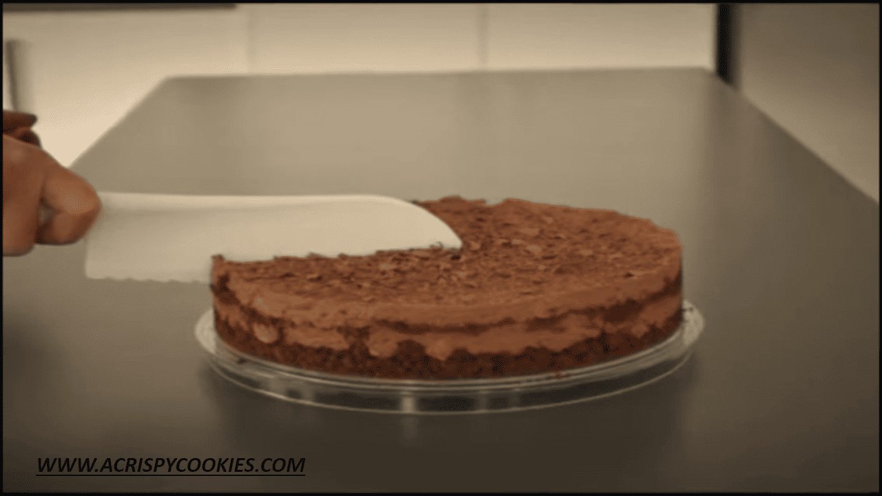 Simple Chocolate Ricotta Cake
