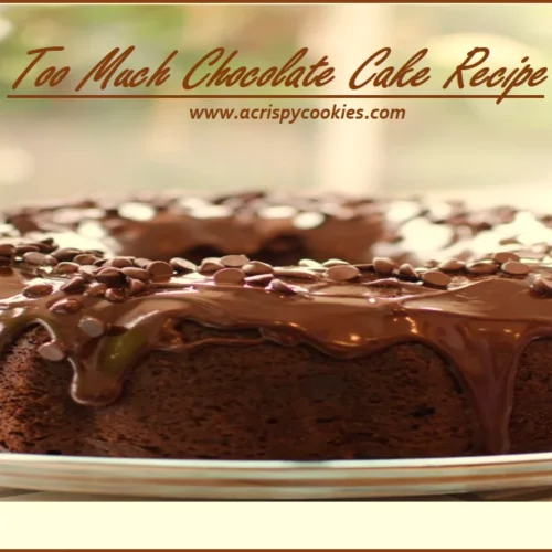 Too Much Chocolate Cake Recipe