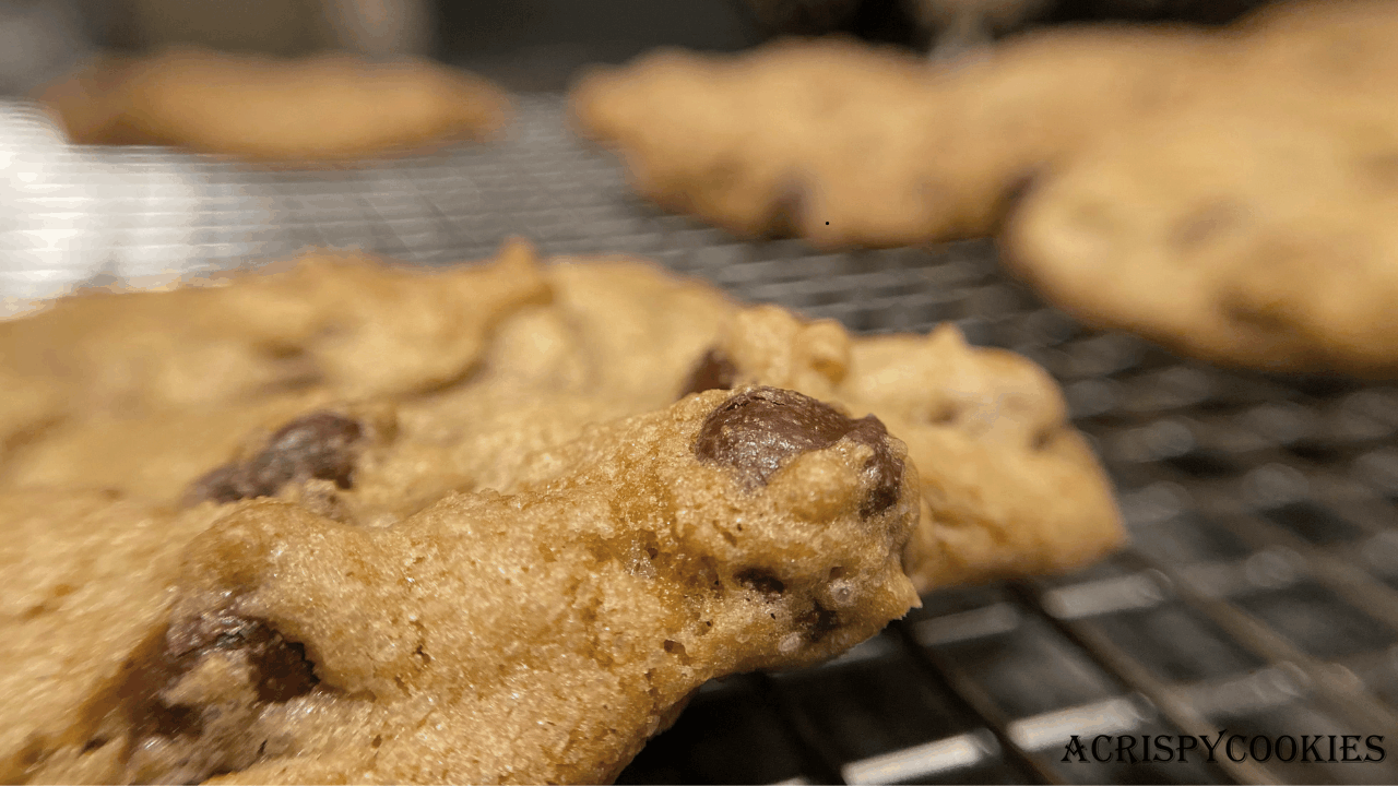 What makes these crispy chocolate chip cookies stand out