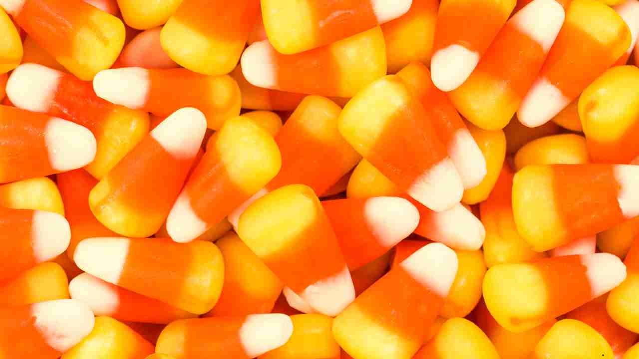 Preparing the Candy Corn Sugar Cookies